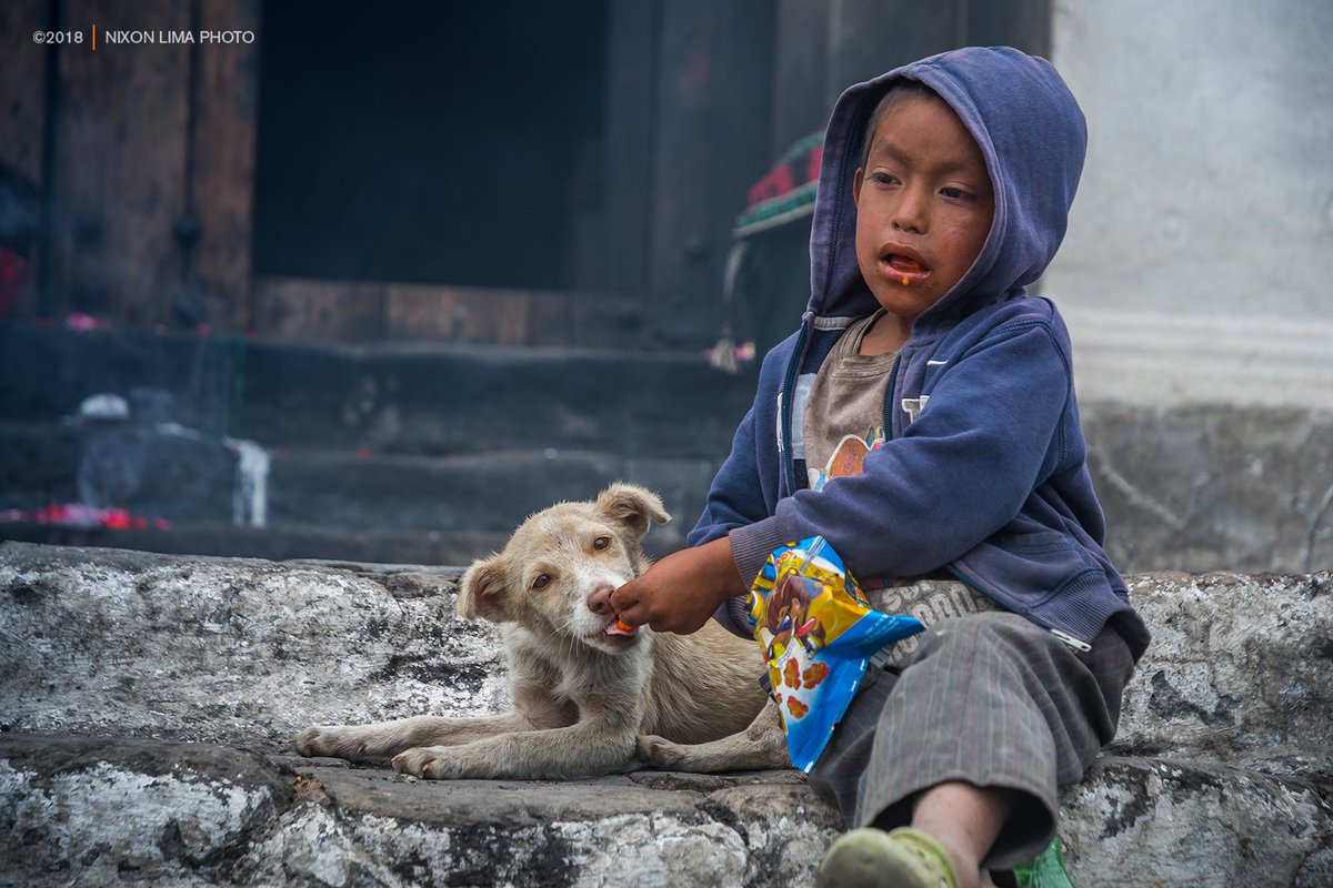 nixonlimaphoto's tweet photo. #GENEROSIDAD 😍🐶🥪
Nunca se es demasiado pobre para disfrutar el lujo de compartir. 

#guatemala #goodalways #generosity #nikon #chichicastenango #teamnikon https://t.co/Bl3X8Q1cMW