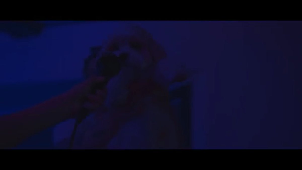 NaylaDeyuti's tweet photo. @ItsBobbyMares when cappy is singing! #OnlyYouMusicVideo https://t.co/3qE4xtZg6n