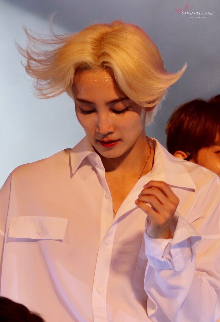 evolution (2017-2019)