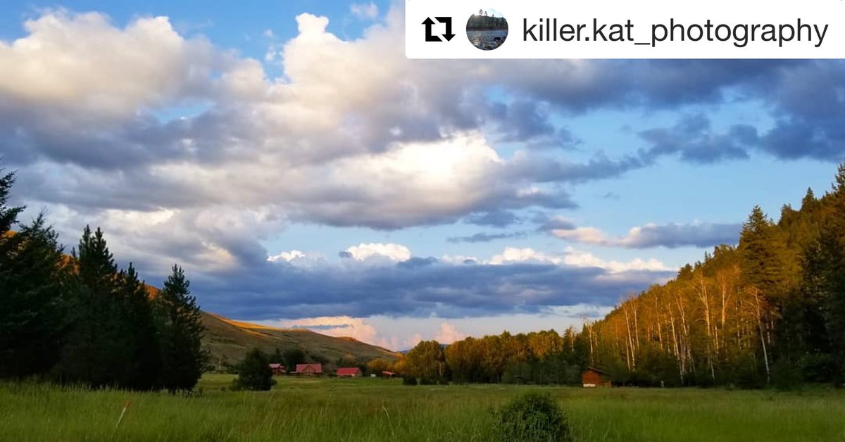 TwispWA's tweet photo. Gorgeous shot up the #TwispWA River. The weather is continuing to prove perfect for all your hiking/biking/camping/outdoor needs this #summer in the #MethowValley. https://t.co/IlOiIh2P23