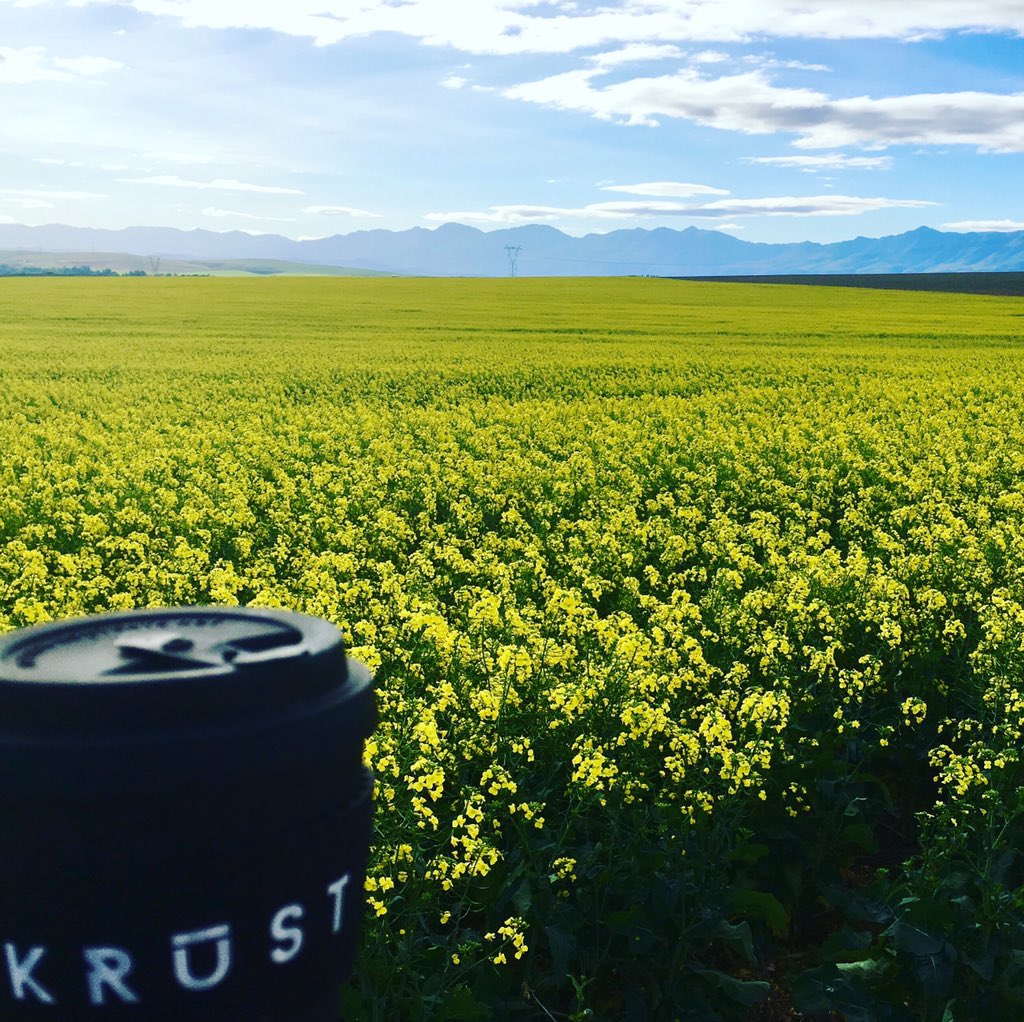 Coffee with a view! #beautifulgardenroute #krustcoffee