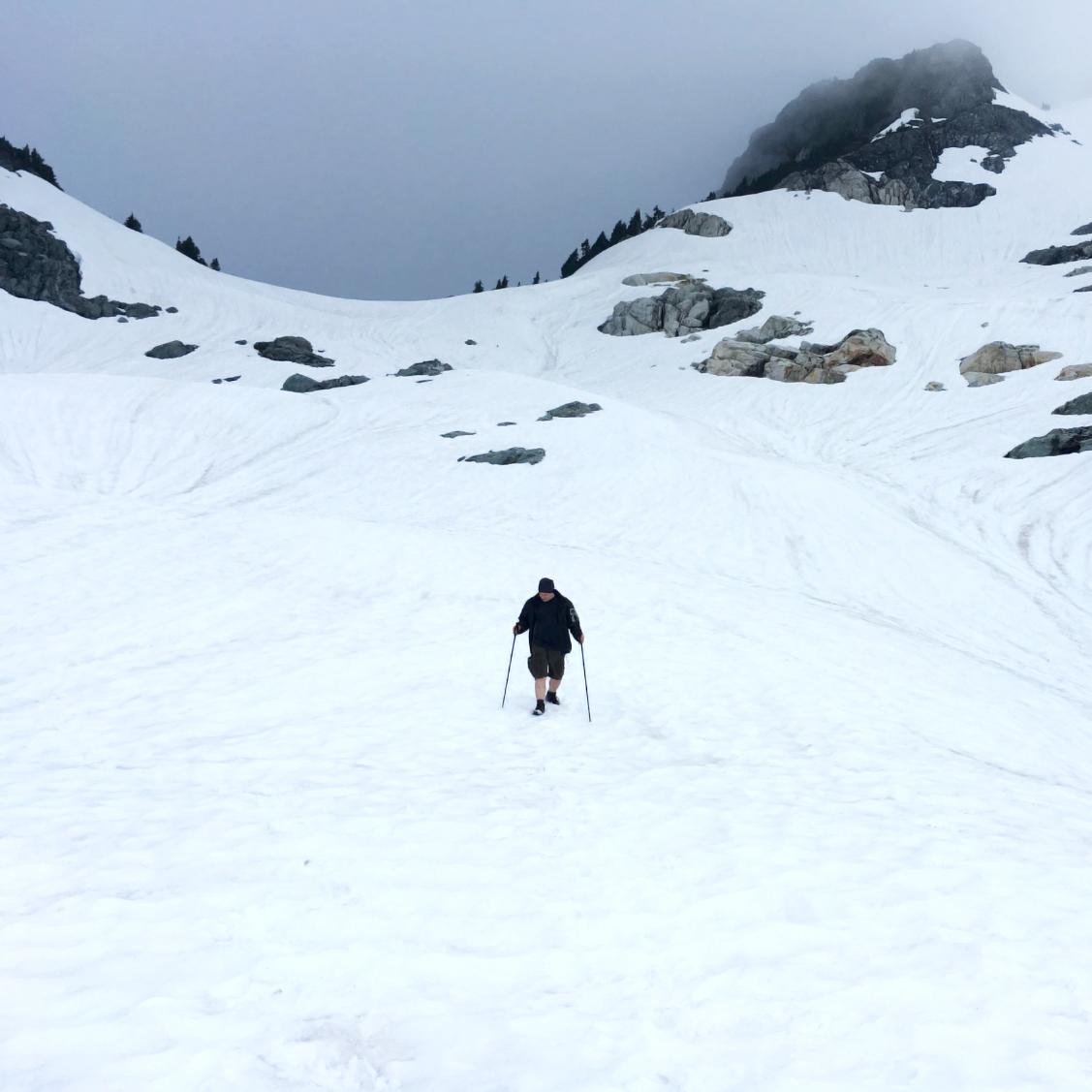 Scouts Canada tweet media