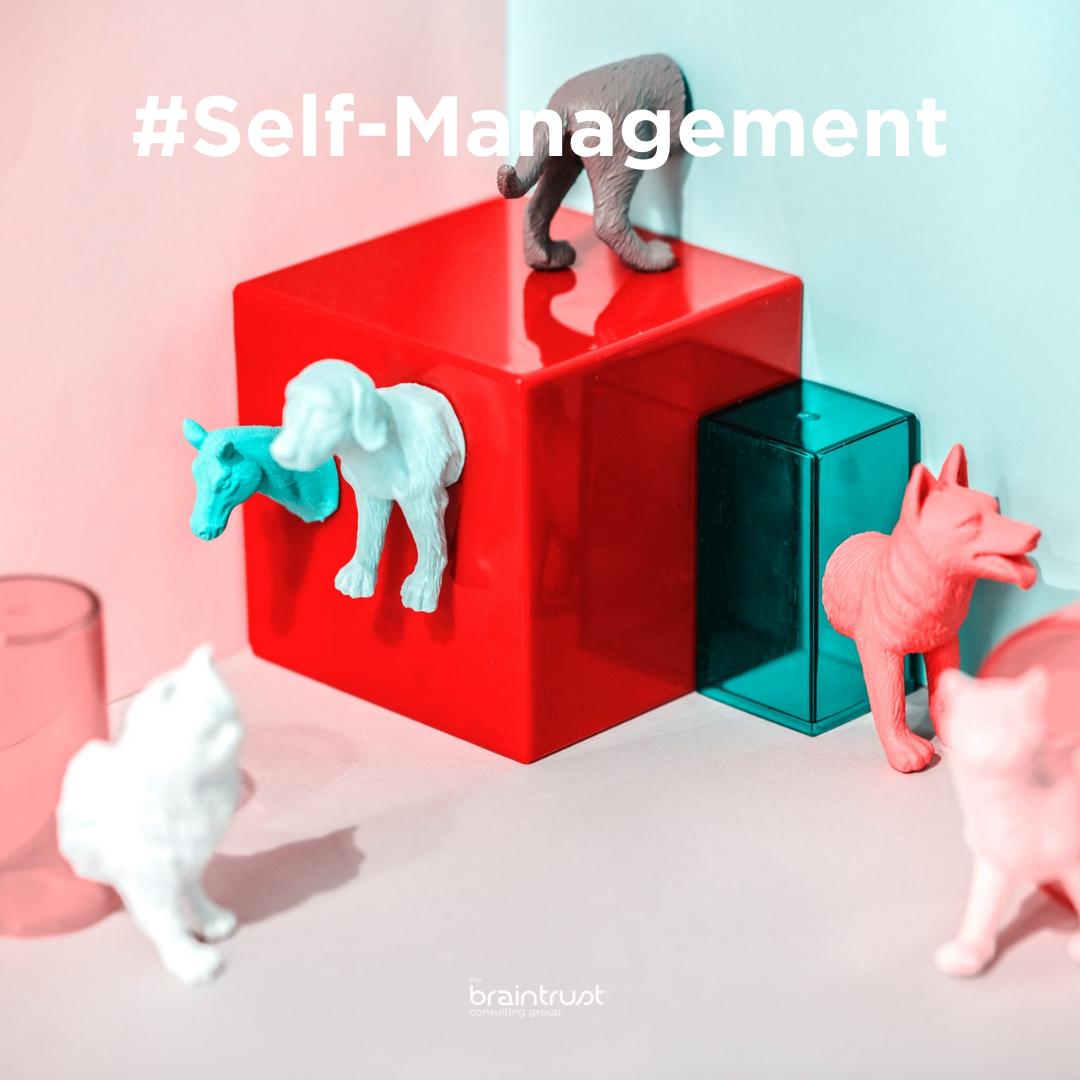 braintrustgroup's tweet image. We know that leaders need self-awareness to be effective. But that’s only half of the story. Self-awareness is useless without an equally important skill: self-management. - Jennifer Porter #HBR

Read more: ow.ly/NQlX50uVJ7f
#YourAgileAdvisor #MondayThoughts