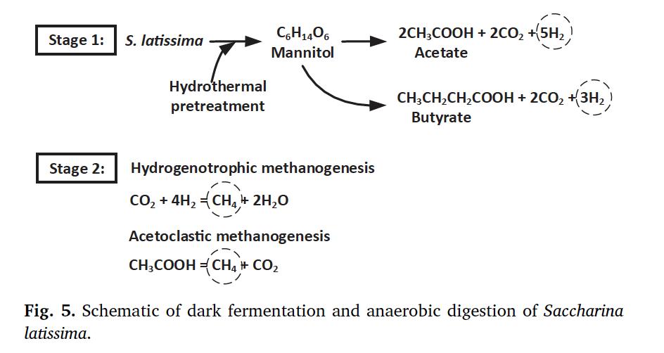Jerry D Murphy tweet media