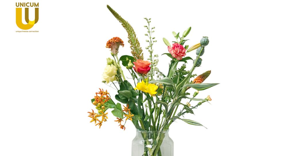 UnicumFreesianl's tweet photo. Hebben jullie afgelopen maand onze gele freesia, Soleil,  gespot in het boeket van Bloomon? Deze mooie, dubbelbloemige freesia wordt geteeld door Kwekerij van Velden en Zandvoort/Gerichaussen. @Bloomon bedankt voor het gebruiken van onze freesia's in jullie boeketten! https://t.co/2iPgbuvCIV