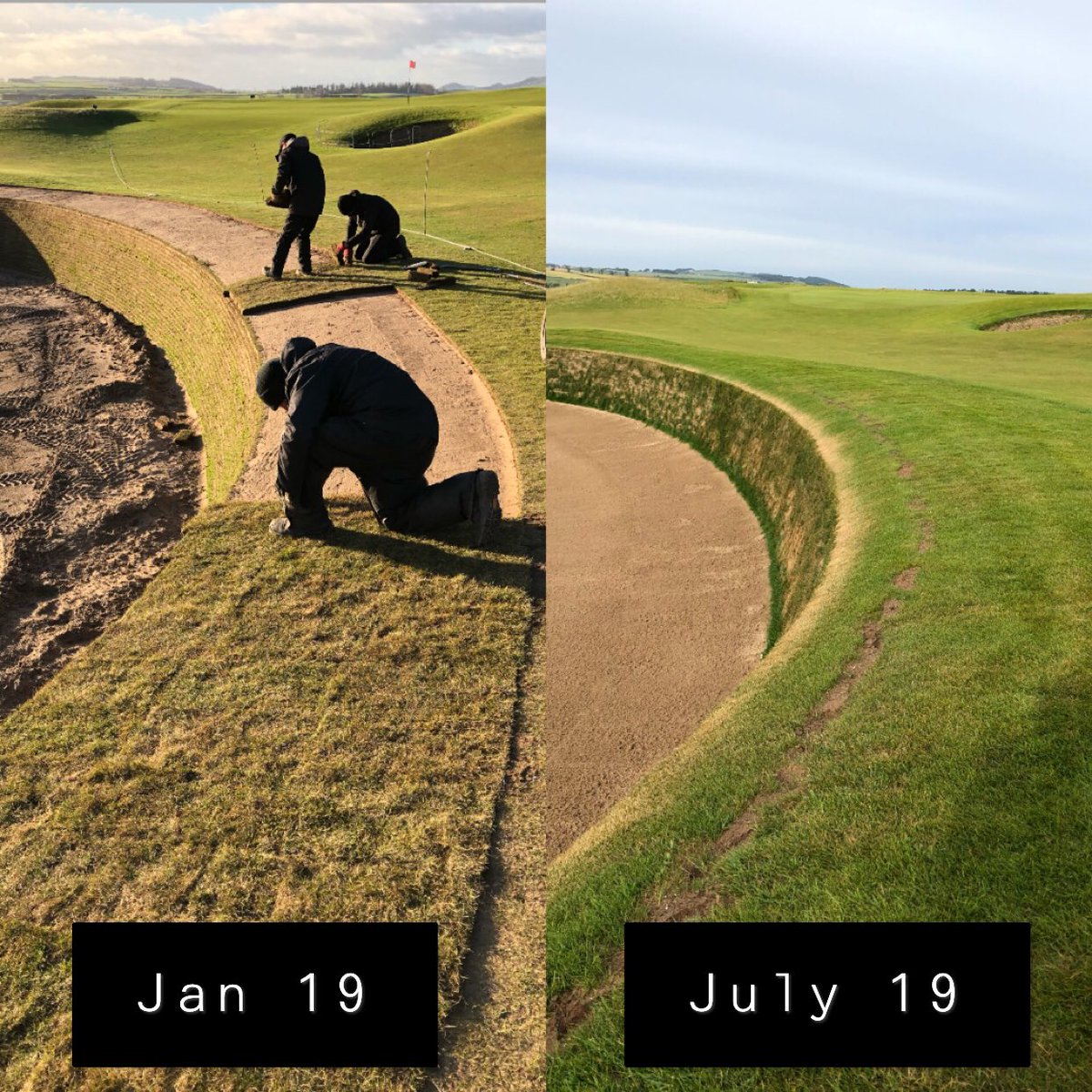 Berry97's tweet photo. Settlement having an impact with #ShellBunker on the #OldCourse @TheHomeofGolf 6 months in. On a plus note though, seed starting to pop in the pearlwort scars. #Persevere #AlwaysImproving https://t.co/U8CsImuFjb
