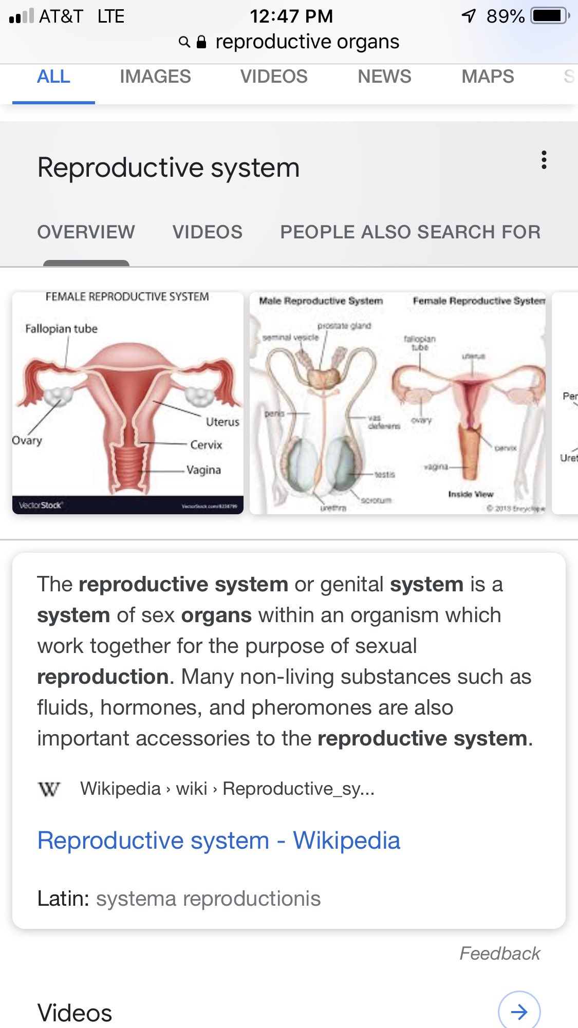 little-black-penis-and-vagina-fusing-together-big-breasted