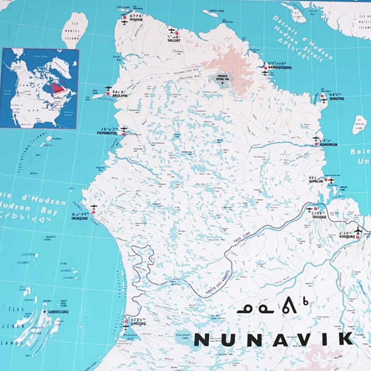 space_biologist's tweet photo. Exploring microbiomes at the edge of the Arctic tundra. Loving the dichotomy of landscapes and diversity of cultures #SNAM2019 #SentinelleNord #Nunavik #Québec #Canada #phdlife https://t.co/L7kvMAHews