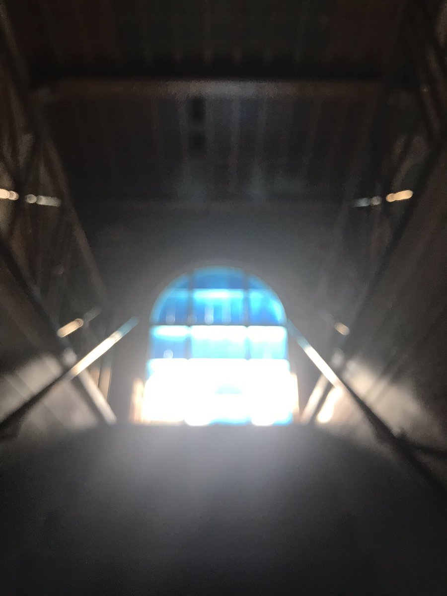 McGuff&DumpsterFires tweet media