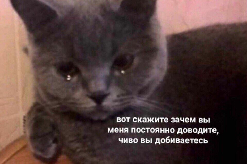 Я: Боже мой,я перешла порог,спасибо,ура!!
Кто-то: Алина,почему так мало? Почему всего лишь 53? Мы надеялись на большое