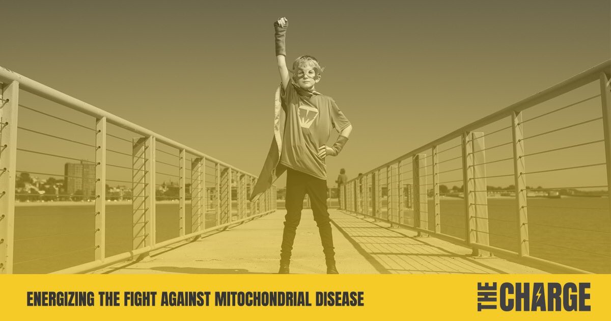 nyveggie's tweet photo. https://t.co/q17p9zI7oW @UMDF @TinySuperheroes @mysuperblanky @EverfanHeroes @MakeAWish_NENY @MDAorg @mghfc @ScottHamilton84 @rhettandlink @SaratogaArtsCen @terrycech #mightymatthew #fightwithmight https://t.co/T44CZgrUC9
