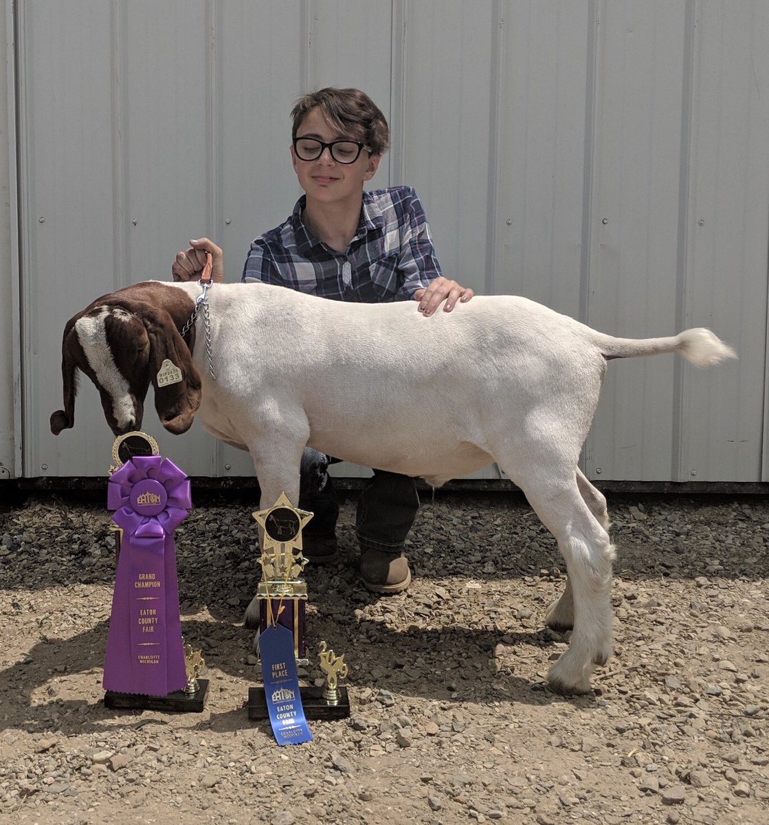 SpringportFFA's tweet image. Grand a Champion Market Goat - Corinne Webb
