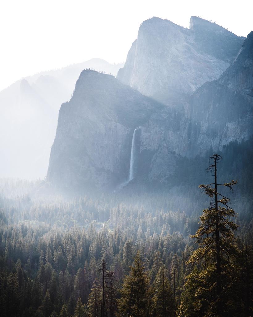CannabisIndy's tweet photo. Check out this amazing #SmokeSpot! #KeepOnToking #420 https://t.co/BSB36uyH0Z