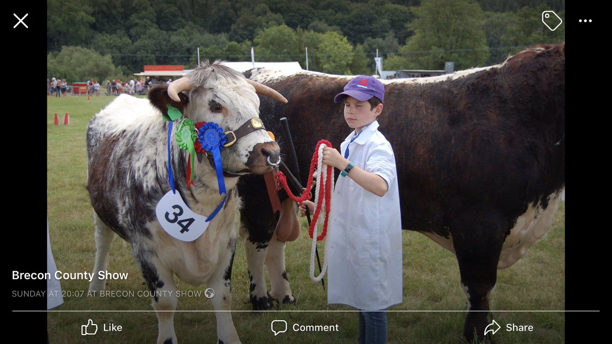 breconshowsec's tweet photo. Cattle Entries open until Thursday 11th July - https://t.co/yJibRxZi16 #farming #cattle #agriculturalshow #visitwales https://t.co/VIDZdIcxqN