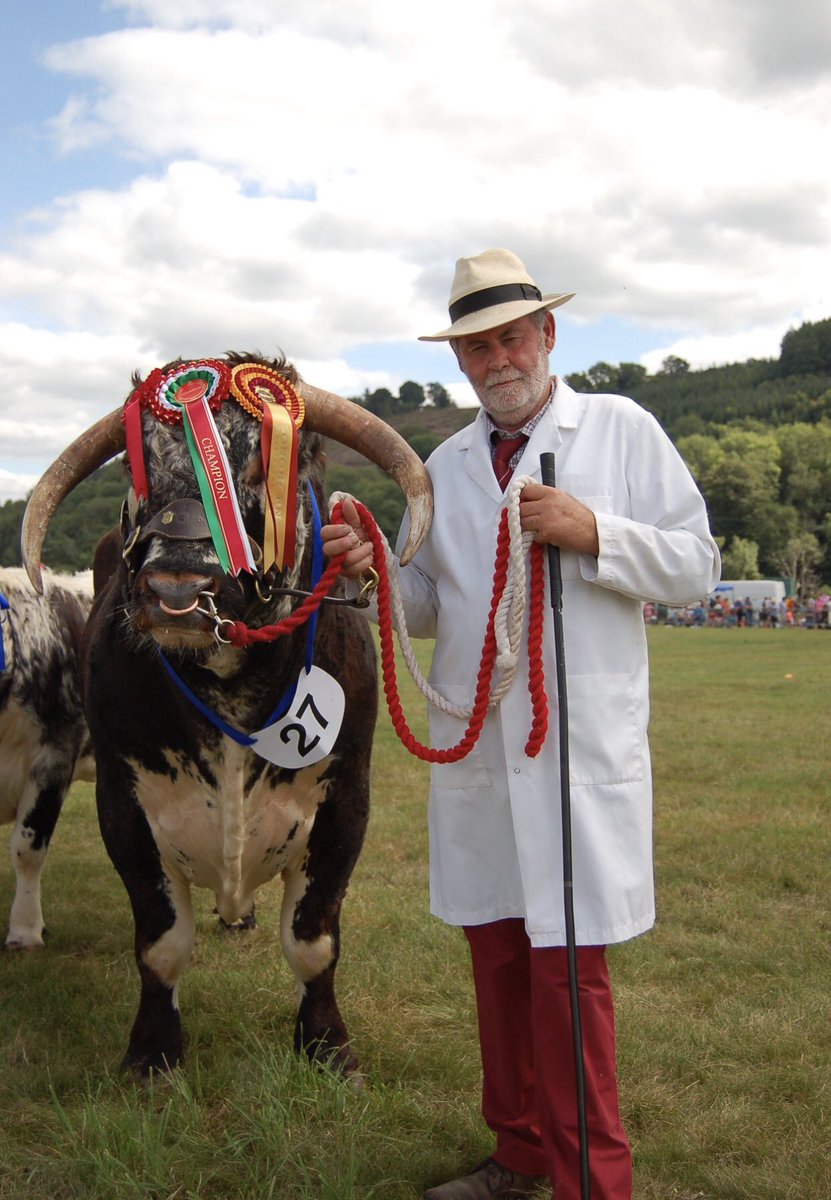 breconshowsec's tweet photo. Cattle Entries open until Thursday 11th July - https://t.co/yJibRxZi16 #farming #cattle #agriculturalshow #visitwales https://t.co/VIDZdIcxqN