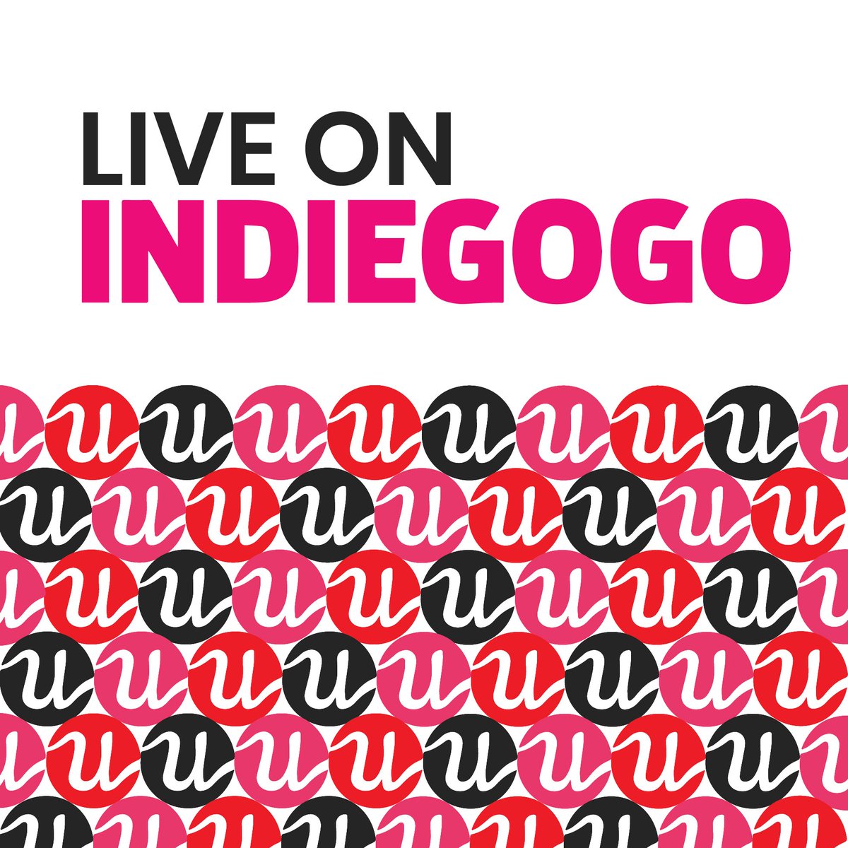 getuniquez's tweet image. We’re still live on Indiegogo! Make the change to Uniquez today!
ow.ly/zjeh50uOsfg
.
.
.
.
#uniquez#indiegogo#campaign#activewear#crowdfunding#fitness