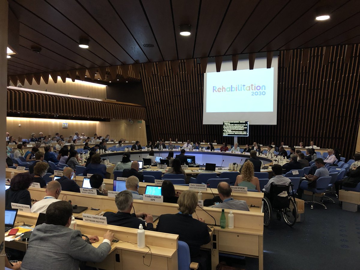 ISAAC_AAC's tweet photo. Elena Radici, of #IsaacItaly @WHO Second Global #Rehabilitation 3030 meeting in Geneva, attending in support of #IsaacInternational and our membership #AugComm https://t.co/f2iD3Ikjyh