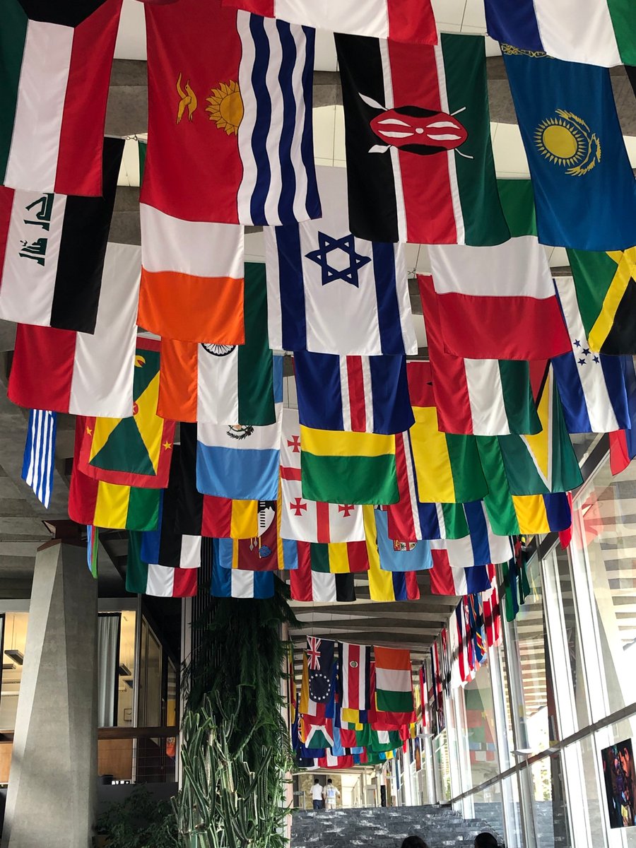 ISAAC_AAC's tweet photo. Elena Radici, of #IsaacItaly @WHO Second Global #Rehabilitation 3030 meeting in Geneva, attending in support of #IsaacInternational and our membership #AugComm https://t.co/f2iD3Ikjyh