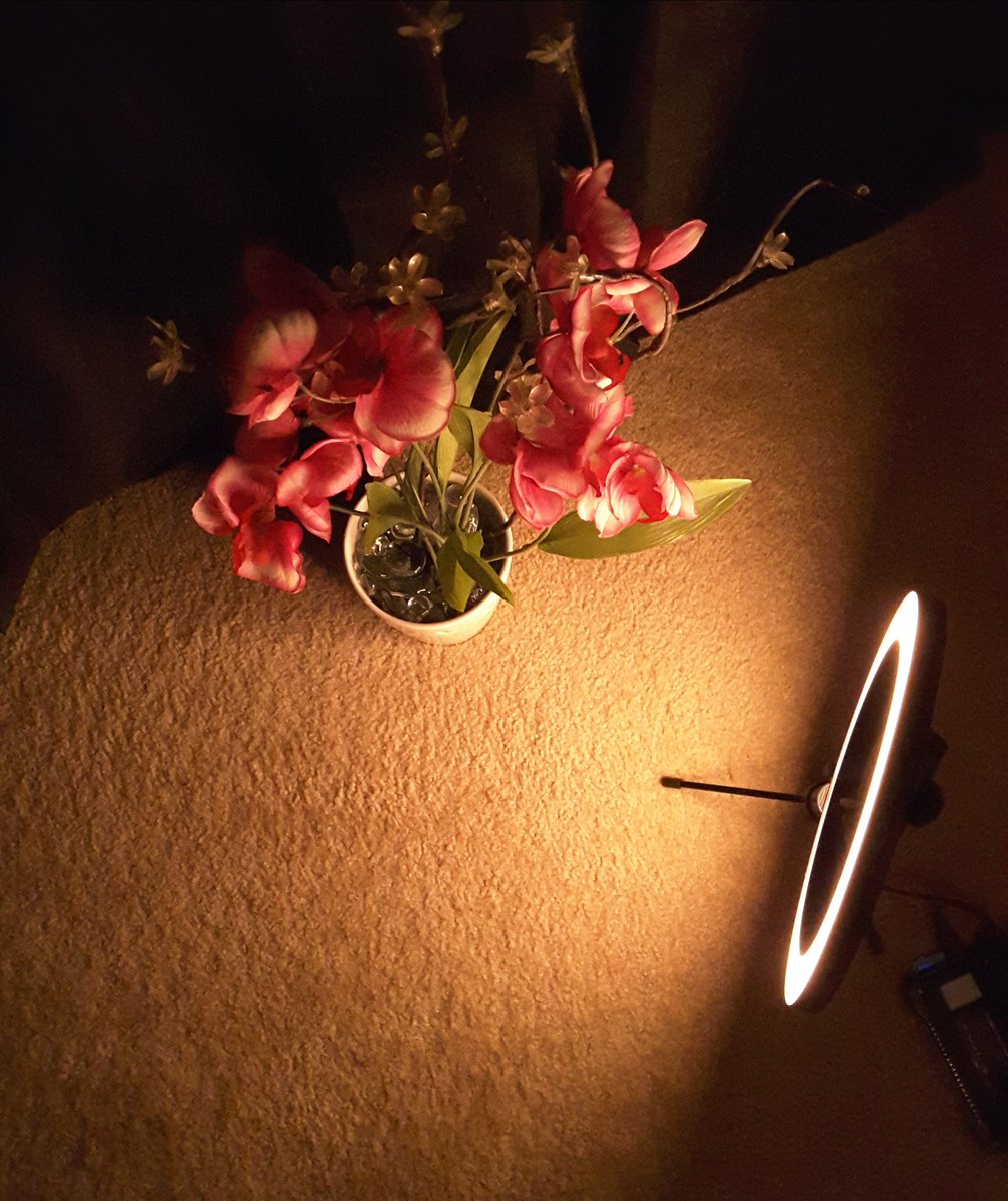 TheDerhonda's tweet photo. 10RingLight #CUMIZON #LED  #photography https://t.co/3MOfuckTAO https://t.co/p6vEQ5hm5U