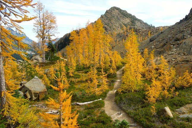 WTA_hikers's tweet photo. Privy? Cairn? Posthole? There's a whole lot of jargon thrown around in the hiking community — so we created a guide to help hikers new and old make sense of it all: https://t.co/bZ4hlUsy0M https://t.co/D0hwXSBHB0