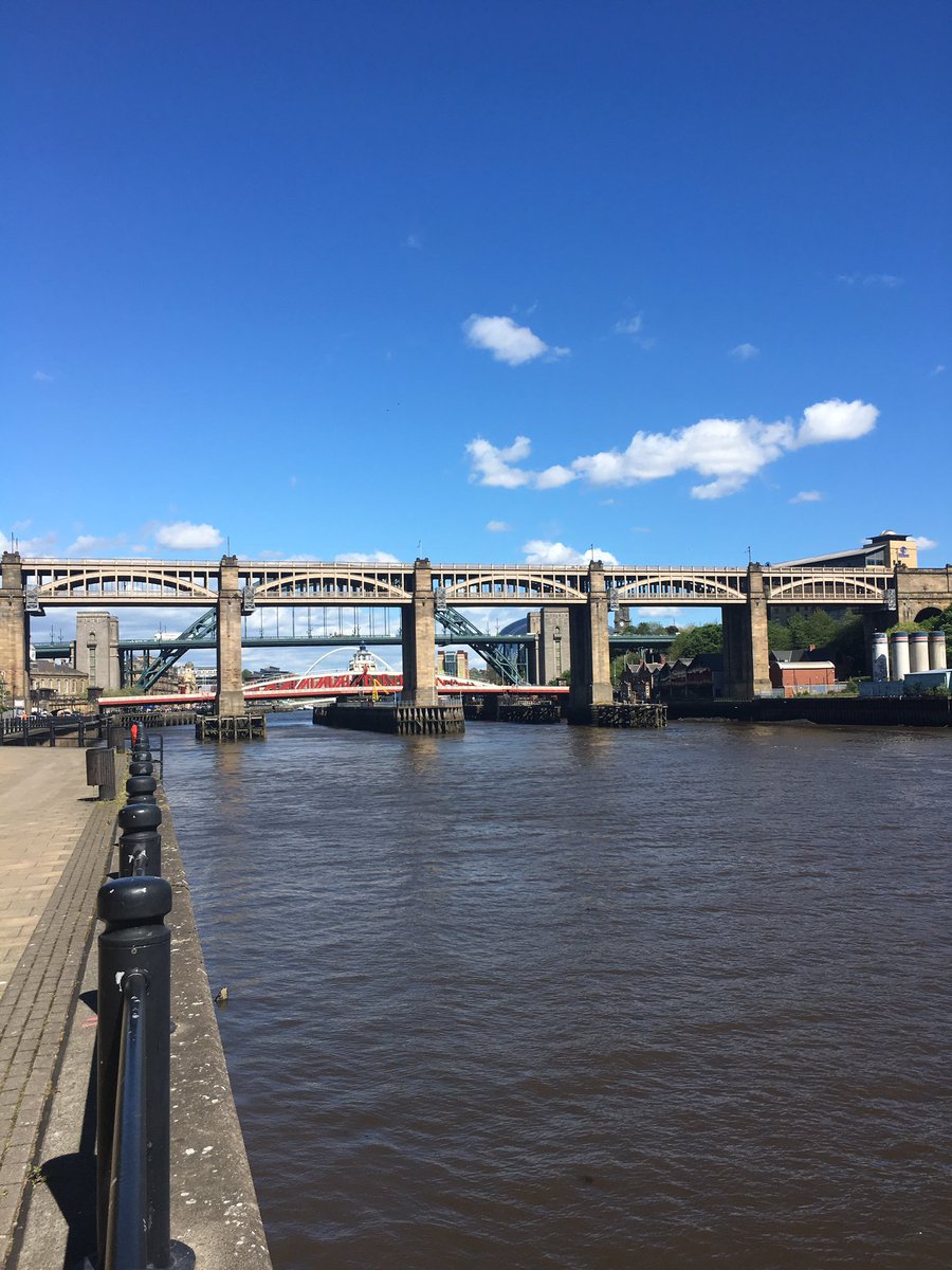 Ian Forrest 💙 tweet media