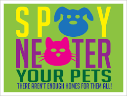 PoncaCityNow's tweet photo. The Ponca City Humane Society adds two programs in July — the Pet Pantry and the “Spay It Forward”. The Pet Pantry distributes pet food to families needing temporary feeding assistance. “Spay It Forward”  is a voucher program, working with area veterinarians. Call (580) 767-8877. https://t.co/Icu4Ehbqpu