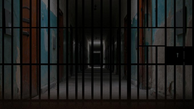 عرض الصورة على تويتر