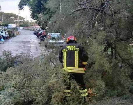 Tromba d’aria a nord di Livorno che ha danneggiato le coperture di capannoni industriali gazzettadifirenze.it/105927/tromba-…