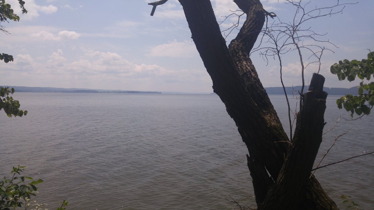 Barbara Simms tweet media