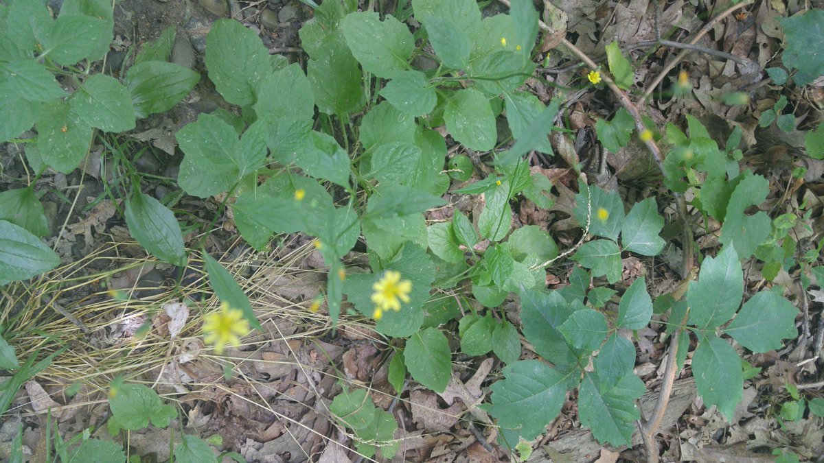 Barbara Simms tweet media