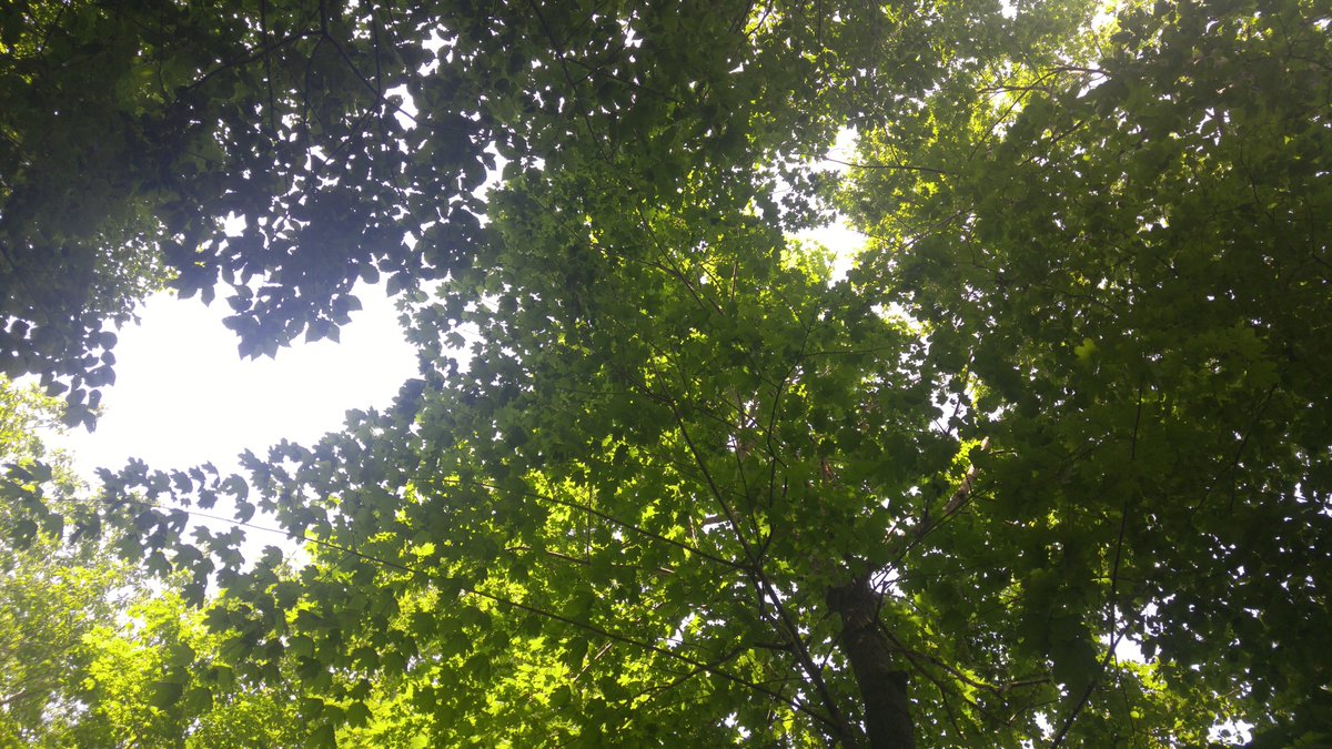 Barbara Simms tweet media