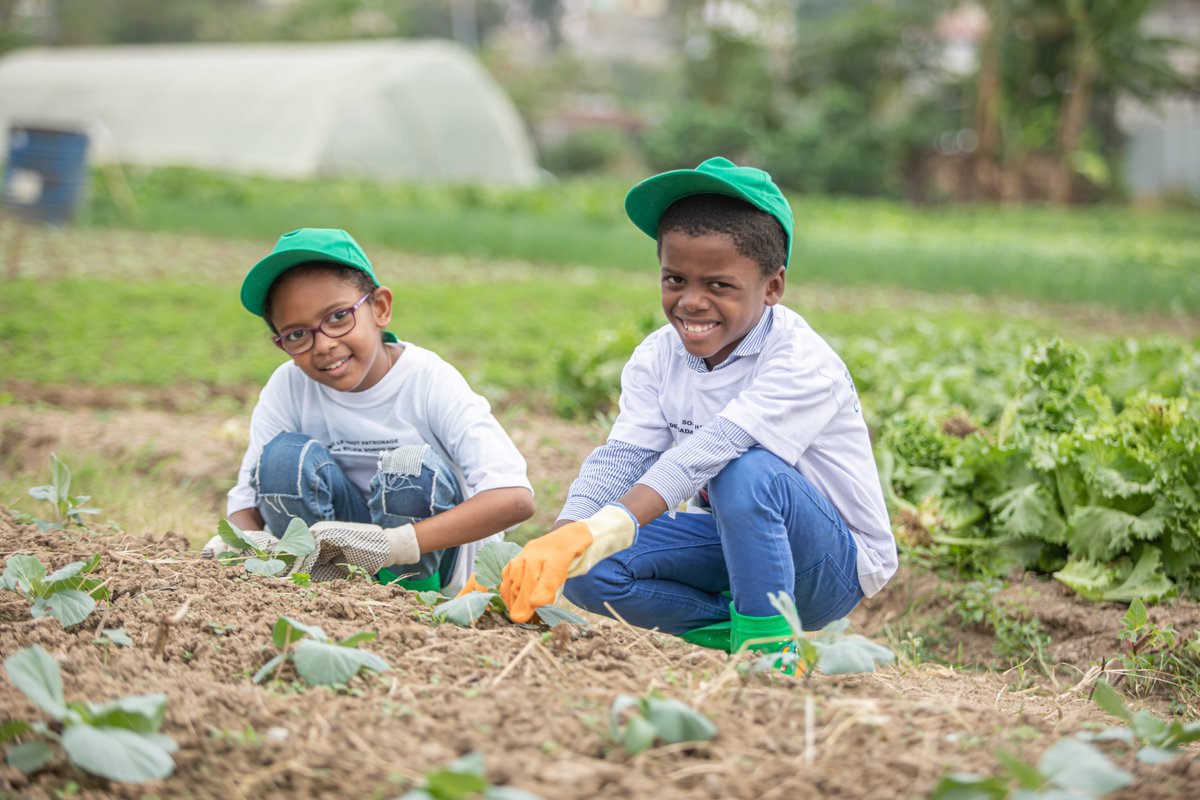 Sylviabongo's tweet photo. Le jardinage, que je pratique régulièrement, est une activité gratifiante.  Quel plaisir de voir germer les graines que l’on a semées, de veiller sur leur croissance avec patience, puis de consommer les fruits de son travail ! 
#Gabon https://t.co/JvcFqFdBD3
