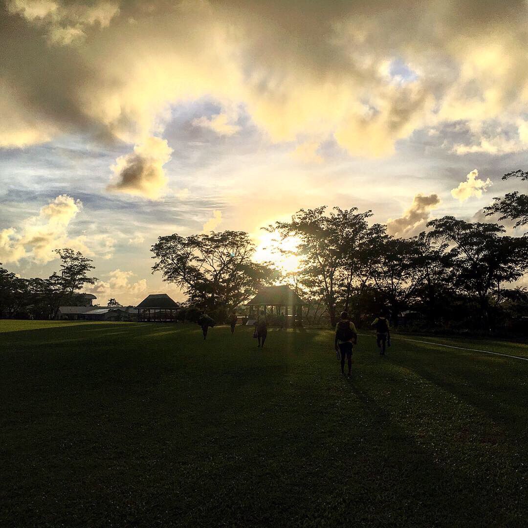 Brett Wright tweet media