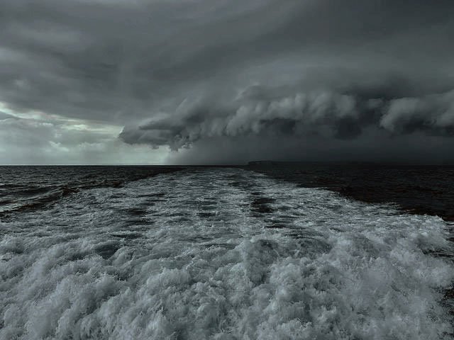 Promo Proyecto Liebe tweet media