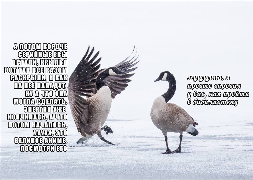 D--bDzfXUAMbg0Q?format=jpg&name=900x900