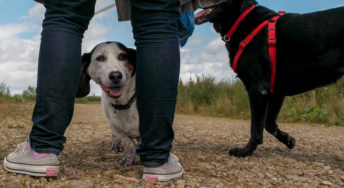 Stephen Henderson tweet media