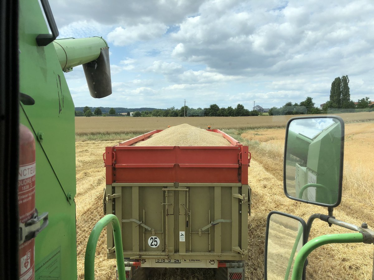 BADURAUX_j's tweet photo. 1ère journée de la #moisson2019 pour moi! de la belle #orge de #brasserie ingrédient incontournable d’une bonne bière 🍺
livraison direct au silo
#moissonEMC2 #ceuxquifontlescéréales https://t.co/XH8CxOyv1N