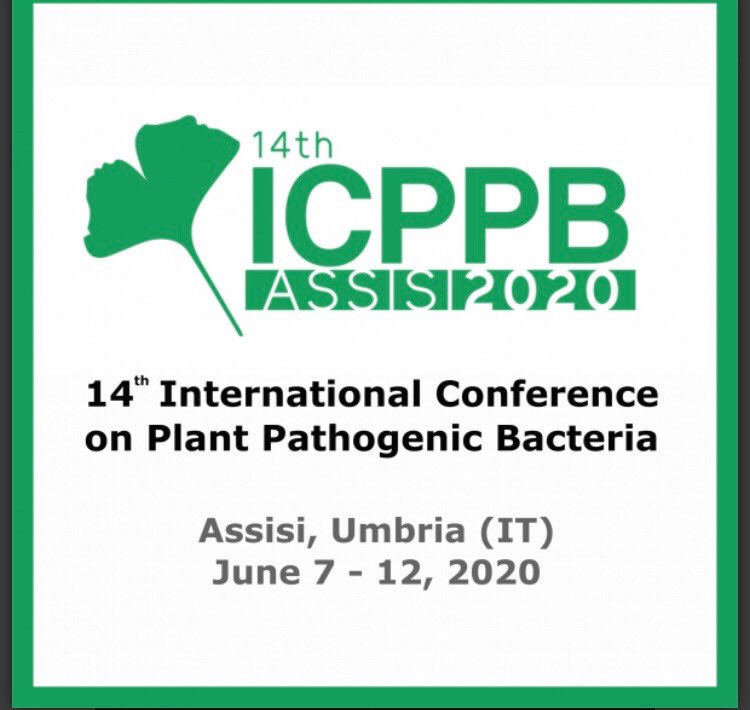 BIOCONTROL2019's tweet photo. The organizing committee of the 14th #ICPPB International Conference on Plant Pathogenic Bacteria met at @BIOCONTROL2019 ready for a new adventure!!!! https://t.co/cZW793mfrR