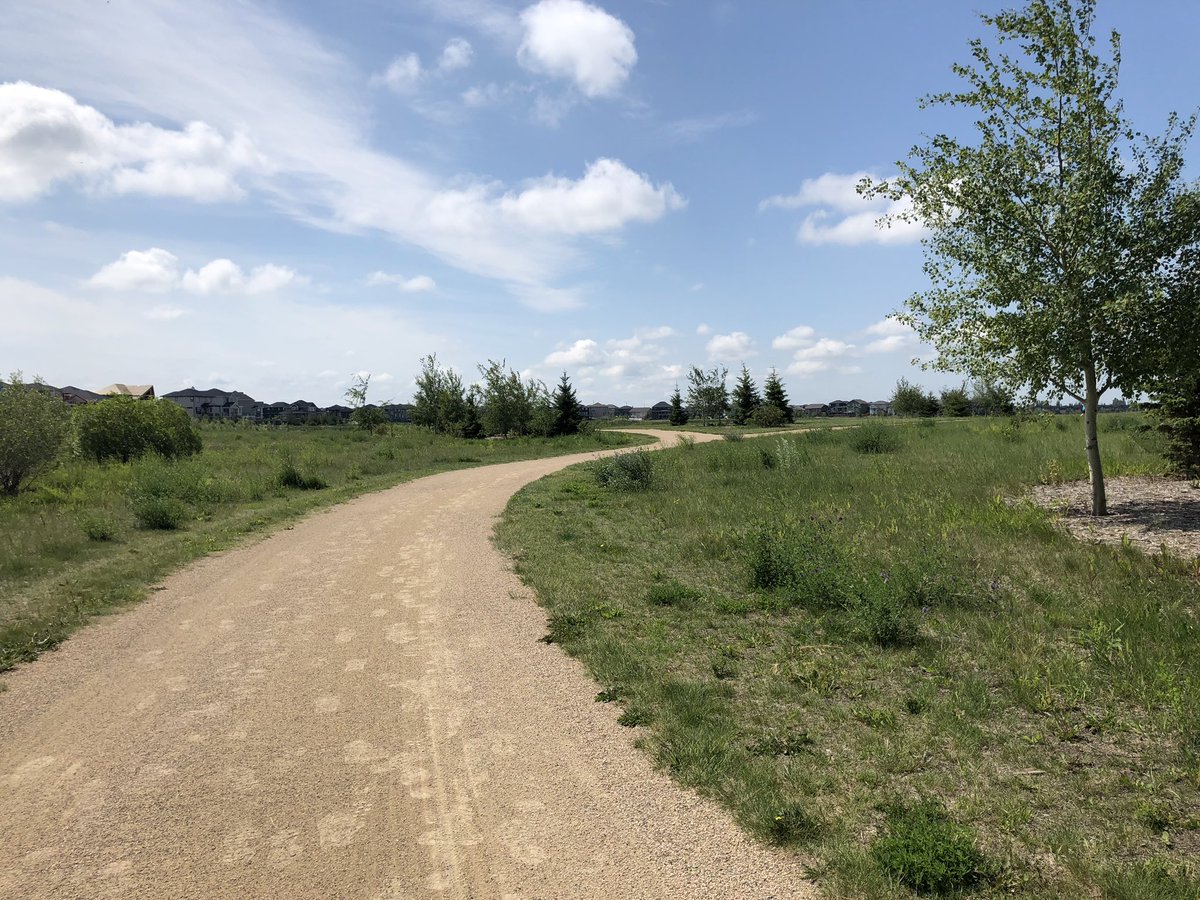 Denise13F's tweet photo. 2running1.2walkrun=3.2miles🏃‍♀️#MondayMotivation
30 hip adductions 85lbs
30 hip abductions 115lbs
6.15miles cycling🚵‍♀️#HeForSheRunners
#earthathon
#runningonHope
#iAm #transforming &amp; becoming the best of me.#Mindfulness
#Running helps me cope with #PTSD #Dissociation #EndTheStigma https://t.co/w2GL5o2Kxv