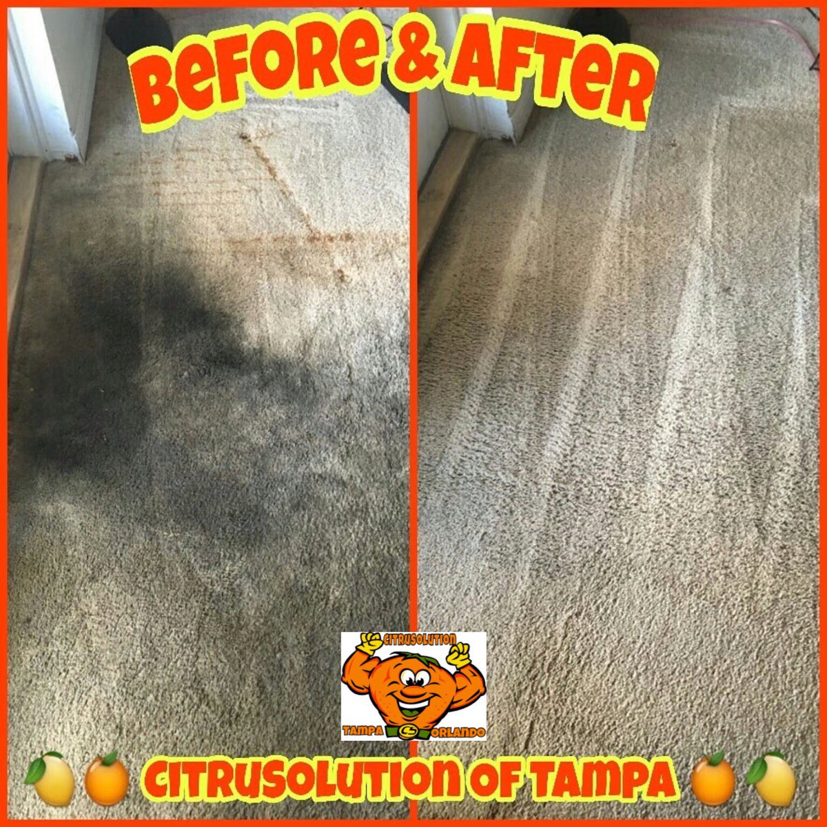 McCitrusolution's tweet image. 🌟🌟🌟🌟🌟💪🍊 
#CitruSolution #Tampa #Orlando