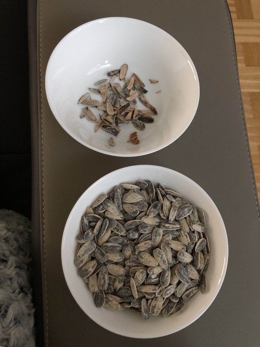 amelhem93's tweet photo. Vad araber skulle kunna äta till frukos, lunch och kvällsmat #bezir https://t.co/mmHjw5v21t