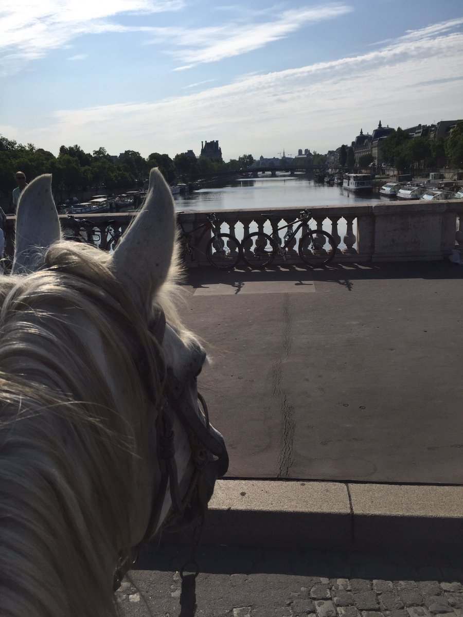 Natiinath's tweet photo. Dimanche j ai eu la chance de participer à la #RouteEiffel Une rando équestre au coeur de @Paris 🐴 Ou comment voir ta ville autrement #parisestmagique Merci #lpej pour ce moment inoubliable #horseride in #paris https://t.co/ZzkH4UEiUT