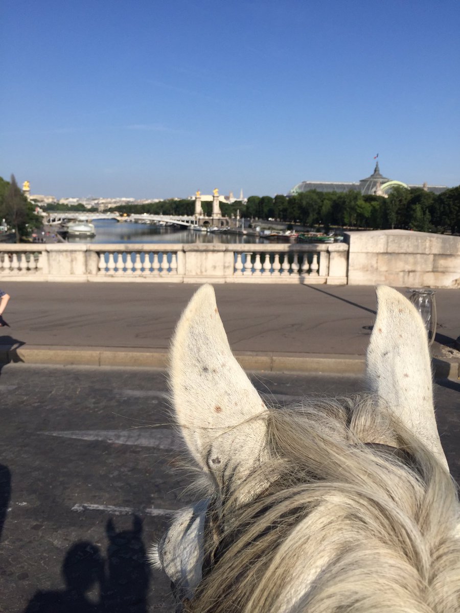 Natiinath's tweet photo. Dimanche j ai eu la chance de participer à la #RouteEiffel Une rando équestre au coeur de @Paris 🐴 Ou comment voir ta ville autrement #parisestmagique Merci #lpej pour ce moment inoubliable #horseride in #paris https://t.co/ZzkH4UEiUT
