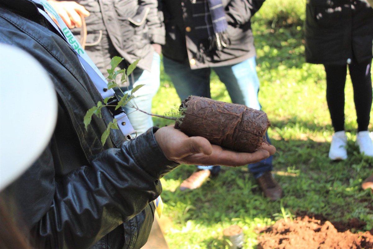 Ministerio del Ambiente y Desarrollo Sostenible Py tweet media