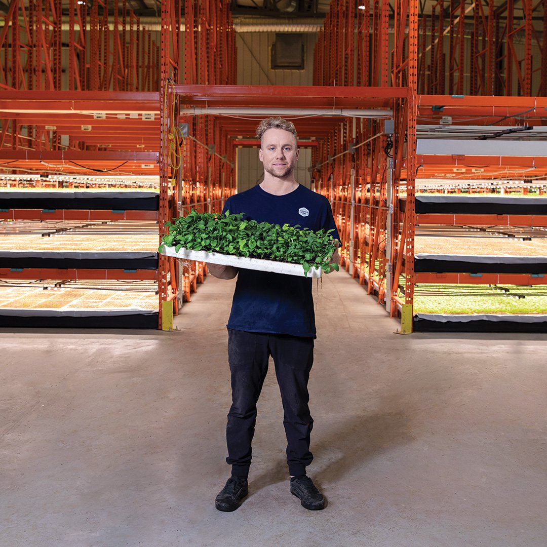 Mount Royal U (@mountroyalu) on Twitter photo Paul Shumlich graduated from MRU with a <a href="/MRUBissett/">MRU Bissett</a> BBA and a minor in Entrepreneurship in 2017. Now he is co-founder of <a href="/DeepwaterFarms/">Deepwater Farms</a> a state-of-the-art aquaponics operation produces fish, greens and herbs with little to no waste. A first in Calgary. ow.ly/9Sib50uVV7g Paul Shumlich graduated from MRU with a <a href="/MRUBissett/">MRU Bissett</a> BBA and a minor in Entrepreneurship in 2017. Now he is co-founder of <a href="/DeepwaterFarms/">Deepwater Farms</a> a state-of-the-art aquaponics operation produces fish, greens and herbs with little to no waste. A first in Calgary. ow.ly/9Sib50uVV7g