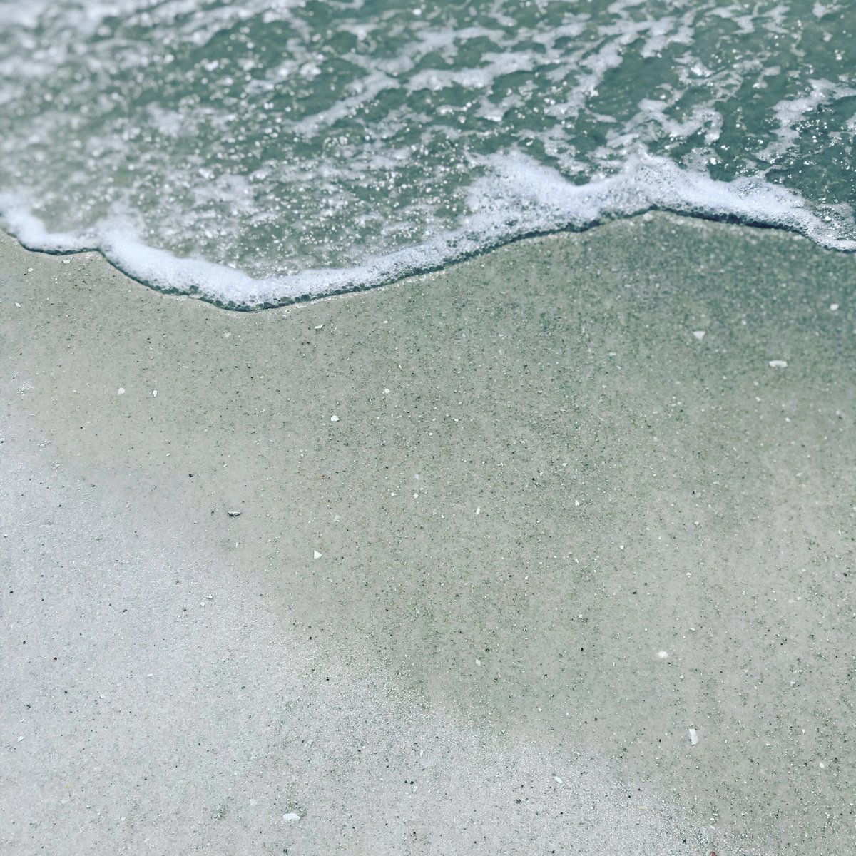 It’s a beautiful day out! Spend sometime this week by the shore, in fact why not create your own beach cleanup? A great way to enjoy the warm weather and help the environment! #SouthCoastServes