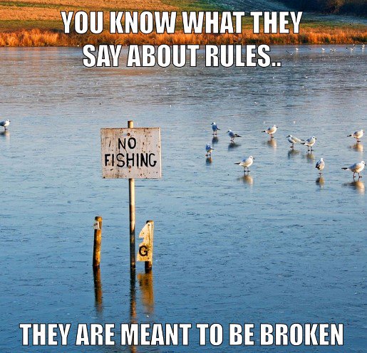FishingMasterRS's tweet photo. #fishing #angling #fishingday #fishingmeme #fishingmemes #fishingjokes #fishingtrip #fishinghook #fishingrod #fishinggear #fisherman #lovefishing #fishin #worldofangling #anglingworld https://t.co/ej2wqfOhXW