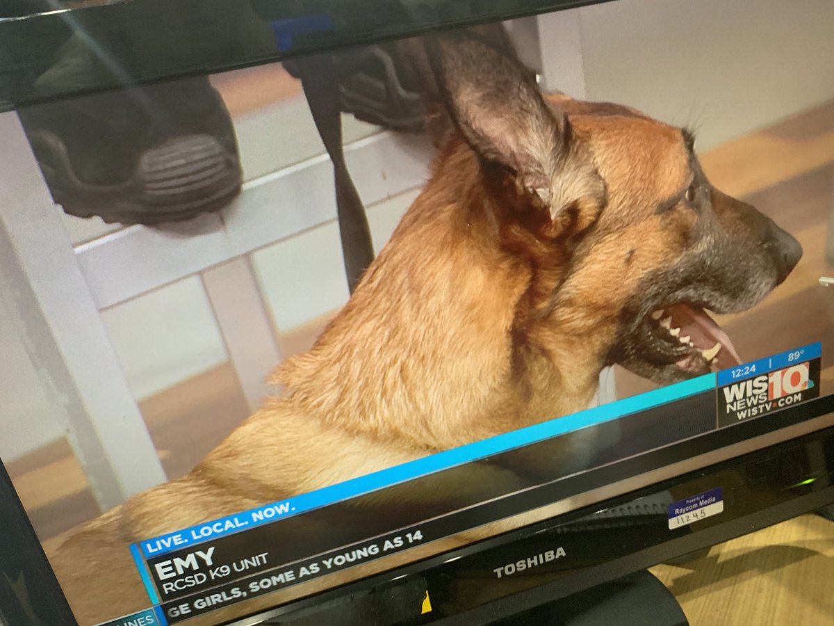 It’s always a good day when I get to visit my *second* favorite girl, <a href="/emy_k9/">K9Emy</a>. I was unfaithful today and #PrincessPiper will know it RIGHT AWAY. #worththescandal <a href="/RCSD/">Richland County Sheriff's Dept.</a> <a href="/wis10/">WIS News 10</a>