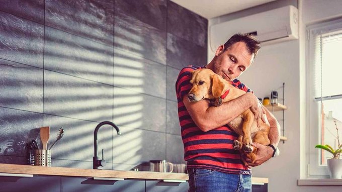 نقره لعرض الصورة في صفحة مستقلة