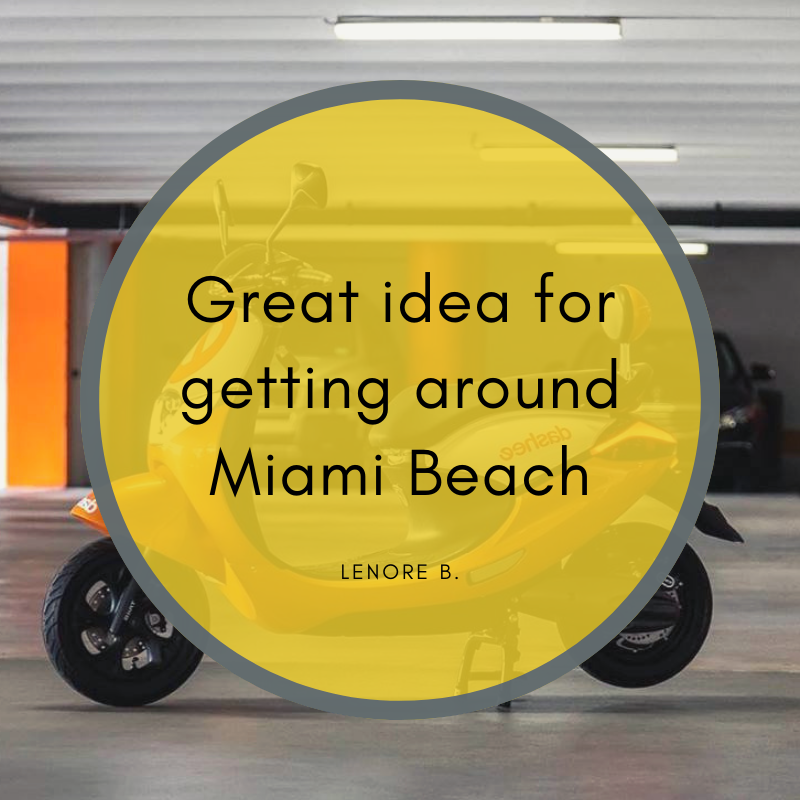 DasheeRide's tweet photo. #Dashee is here to help you get around #MiamiBeach faster
@MiamiBeachNews @MayorDanGelber @MichaelGongor
#wynwood #WynwoodOven #wynwoodvibes #WynwoodEnergy #wynwoodlife #WynwoodArtist #wynwoodcafe #wynwoodspaces #wynwoodroyalty #wynwoodblock #wynwooding #wynwoodfearfactory https://t.co/RhATDvtnaa